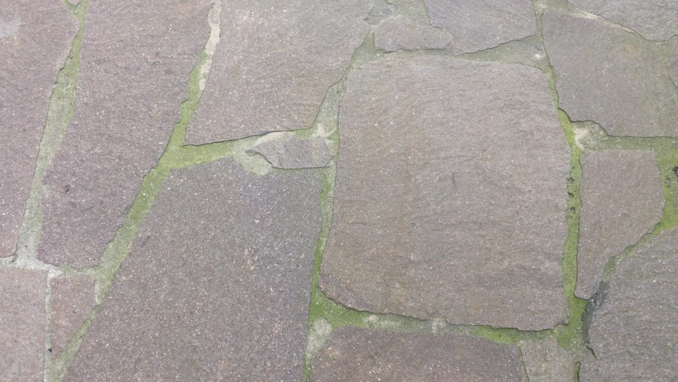 masonry and moss on the road
