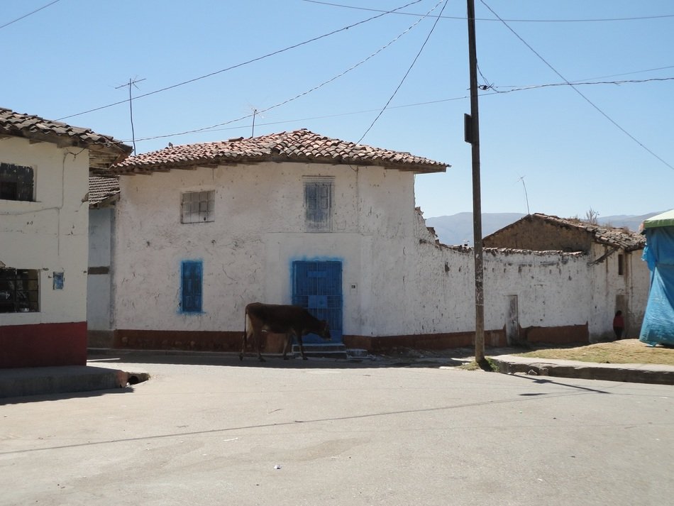 buildings on the street in peru