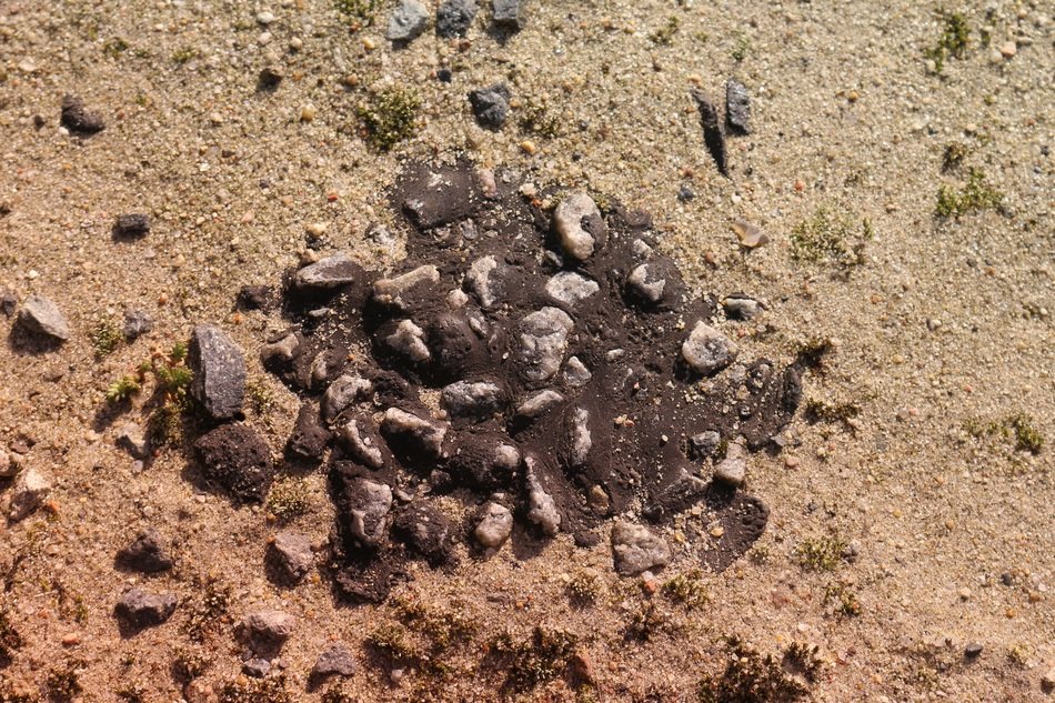 pieces of asphalt on the sand