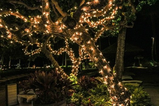 christmas lights on the tree