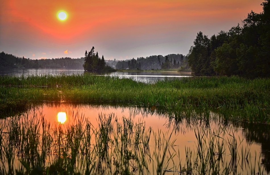 landscape of gorgeous summer sunset on the lake