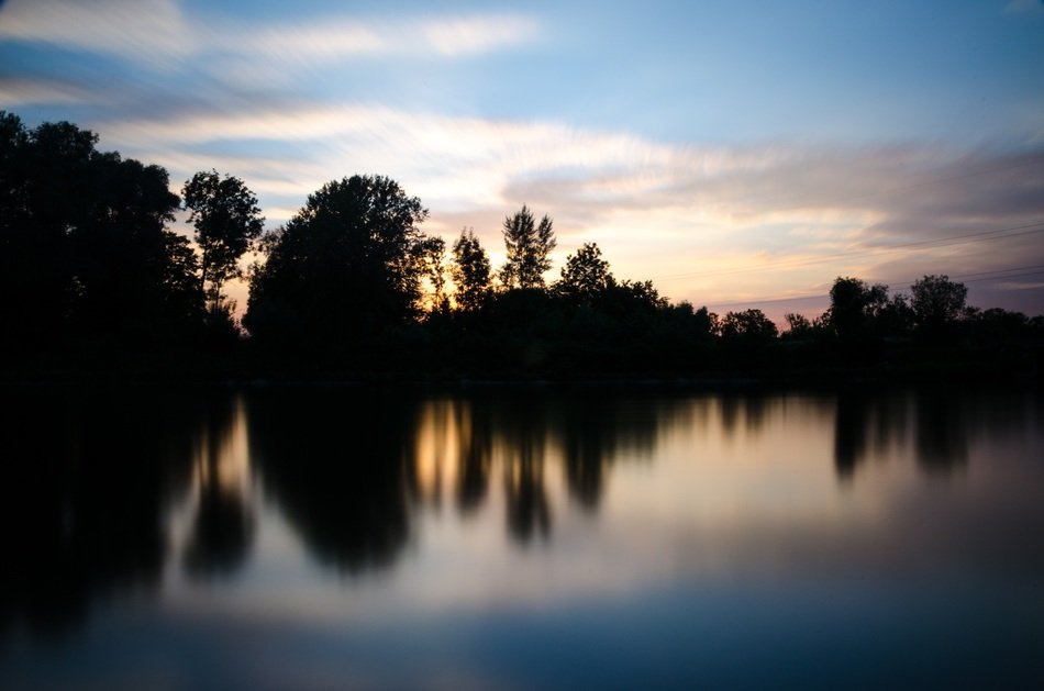 trees silhouette on the lake