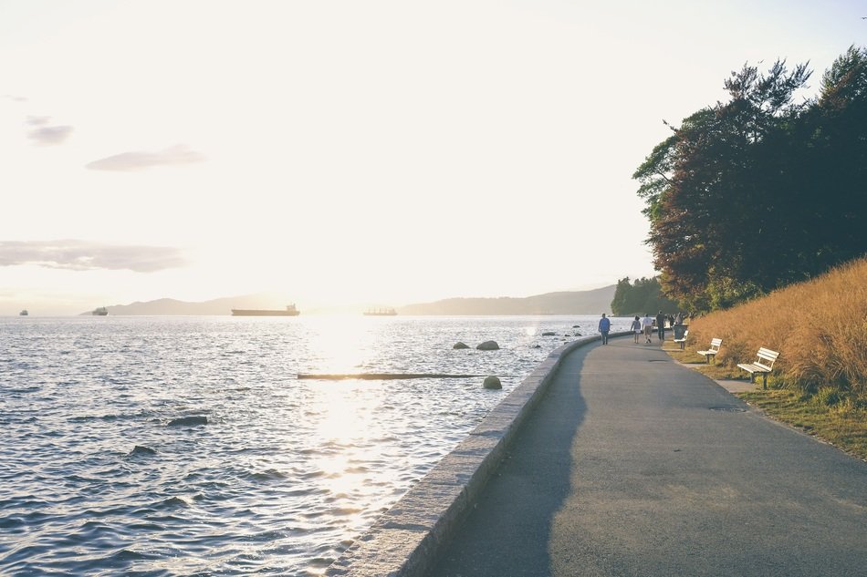 walkway near the water
