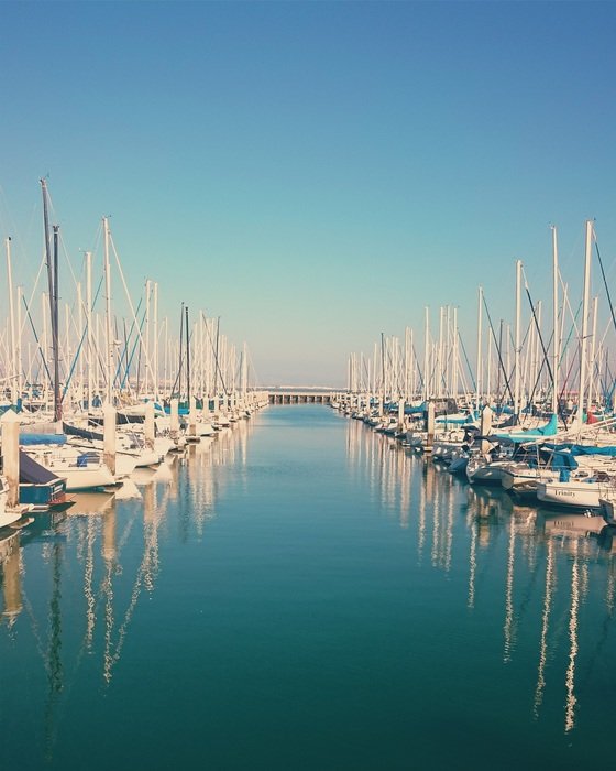 Lots of boats in the harbor