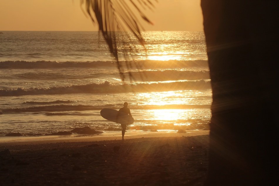 surfer on the beach at sunset