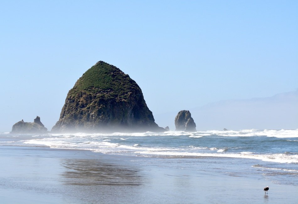 landscape of cannon beach in Oregon
