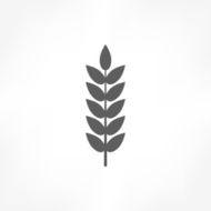 Wheat Icon N11