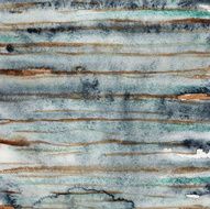 Lines N21