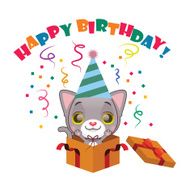 Cute gray kitten with Happy Birthday sign