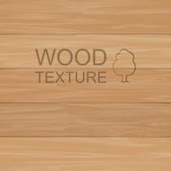Wood texture N73