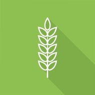 Wheat Icon N12