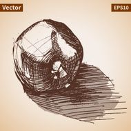 Vector sketch of garnet Illustration for your design N3