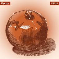 Vector sketch of garnet Illustration for your design N4
