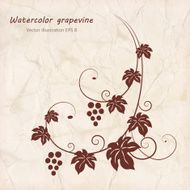 Grape vine with grunge paper texture background