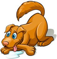 Brown Dog N2
