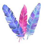 Watercolor feathers N7