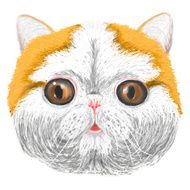 Raster sketch of a stylized kitten's face smiling friendly