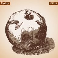 Vector sketch of garnet Illustration for your design N8