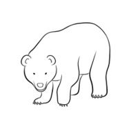 bear N66