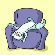 Cat sleeping on the chair N2