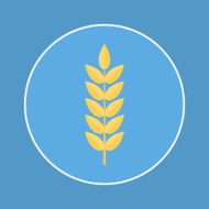 Wheat Icon N14