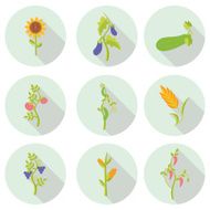 crops flat icons