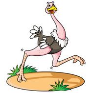 ostrich cartoon N2