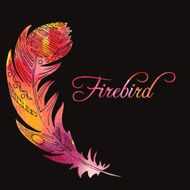 watercolor feather of firebird