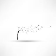blowing dandelion vector N6