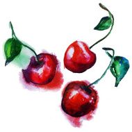 Watercolor Cherry N3