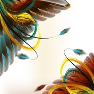 Feathers vector background N3