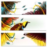 Brochures set with feathers N2