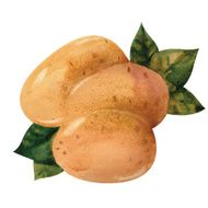 Potato N3