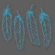 Hand drawn feathers set on dark background N2