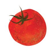 fresh tomato