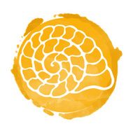 Watercolor orange circle paint stain and sea shell N2
