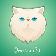 Persian Cat N3
