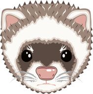 Ferret Vector