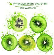 Watercolor kiwi set N2