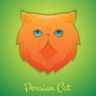 Persian Cat N4