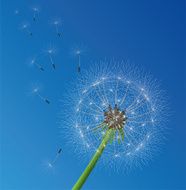 vector dandelion seeds blown in the wind