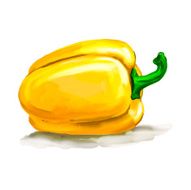 pepper vector illustration hand drawn painted watercolor N2