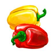 group peppers vector illustration hand drawn painted watercolor