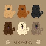 Different colors Chow-chow