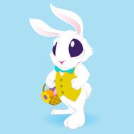 Rabbit N73