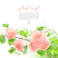 Vector Watercolor Flowers Hydrangea