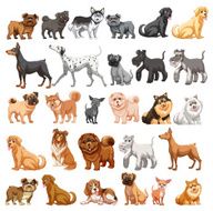 Dog collection N2