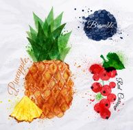 Fruit watercolor pineapple bramble red currant