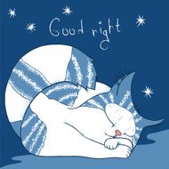 Good Night N34