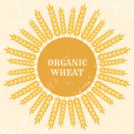 organic wheat N2
